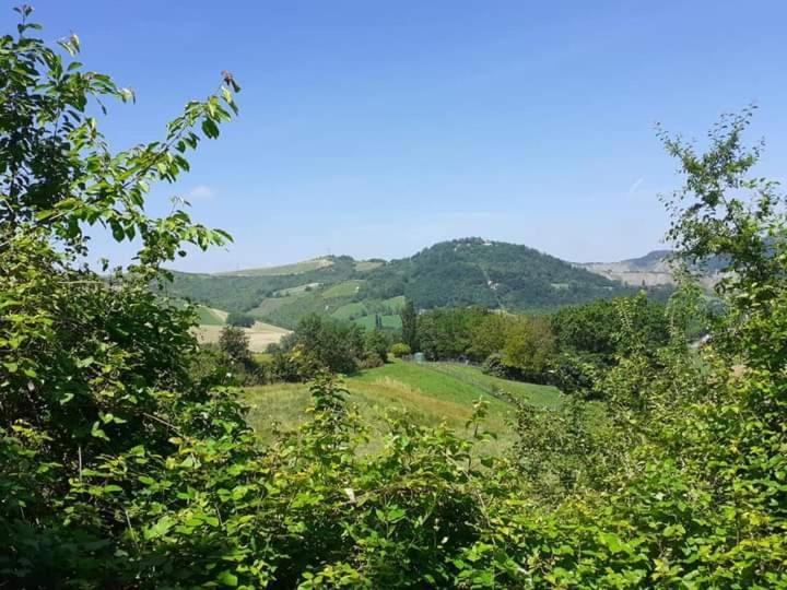 Apartament Ai Boschi Ozzano dell'Emilia Zewnętrze zdjęcie