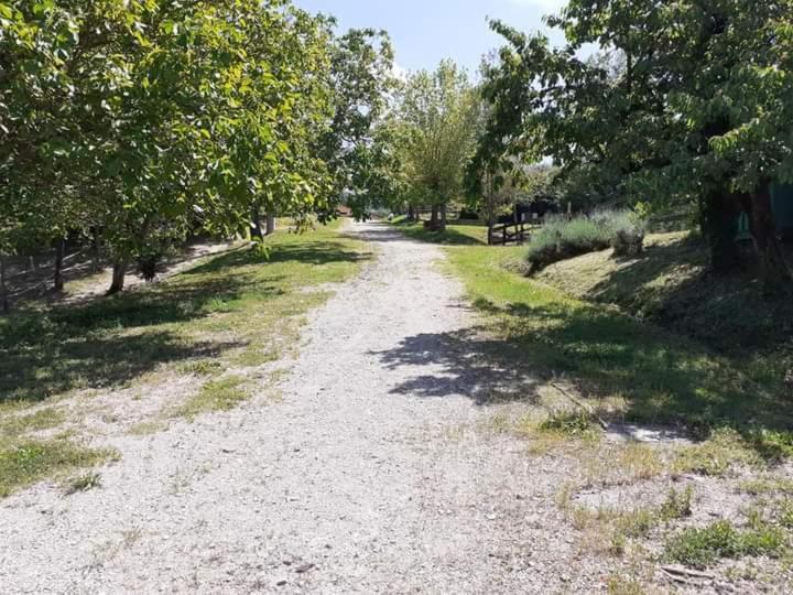 Apartament Ai Boschi Ozzano dell'Emilia Zewnętrze zdjęcie